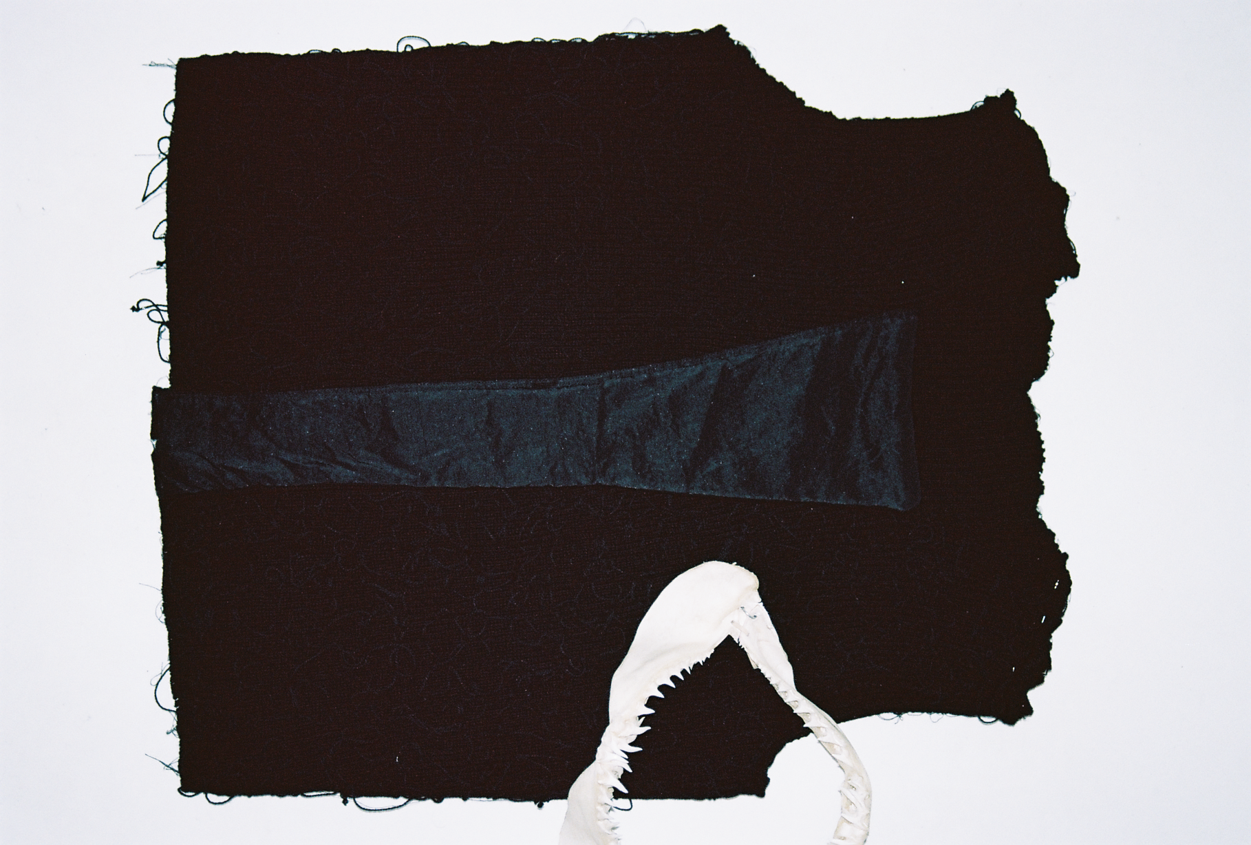 Erik Bruccia Image 1